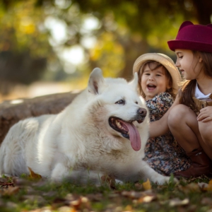 צילומי ילדים בטבע לצד הכלב